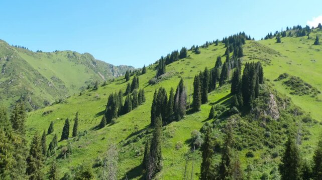 View from the funicular to the green mountain peaks. Cable car, climb up the mountains on summer season.