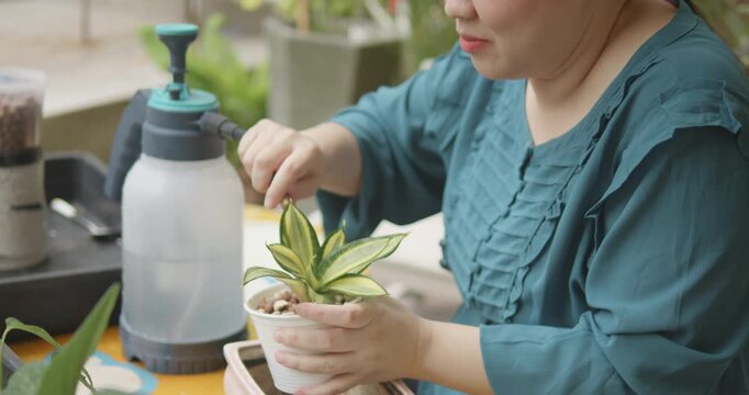 A blind gardener, person with blindness disability watering plants using pump spray bottle at home garden nature background