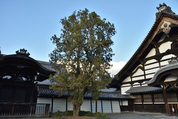 東福寺方丈　庫裡と方丈唐門(京都市東山区)