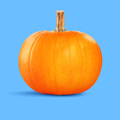 Fresh whole pumpkin on pale blue background. Gourd vegetable