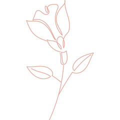 Line art illustration of a rose flower