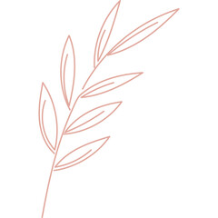 Minimalist line art illustration of a branch with leaves