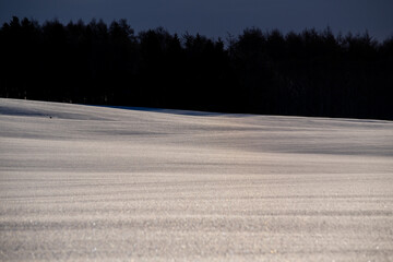 Texture of snow surface exposed to sunlight