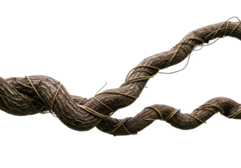 Two thick jungle vines intertwine with smaller tendrils, forming a complex, textured, and weathered natural pattern that evokes strength and organic growth.