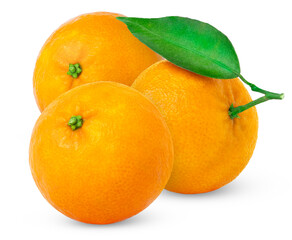 Fresh mandarin, tangerine and clementine with leaf isolated. Three citrus mandarin oranges with clipping path.