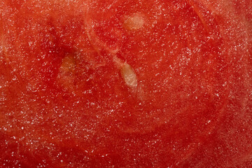 Watermelon Texture Study