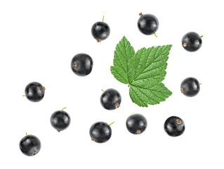 Black currant berries and green leaf isolated on a white background, view from above.