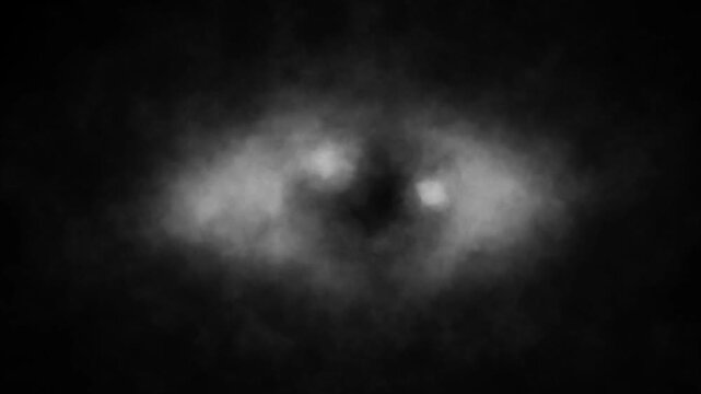 Horror fantasy 2D animation for Halloween. Scary night atmosphere. Dark Vj loops. Black and white background.