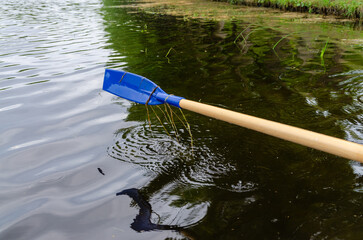 Blue paddle in calm lake reflecting greenery
