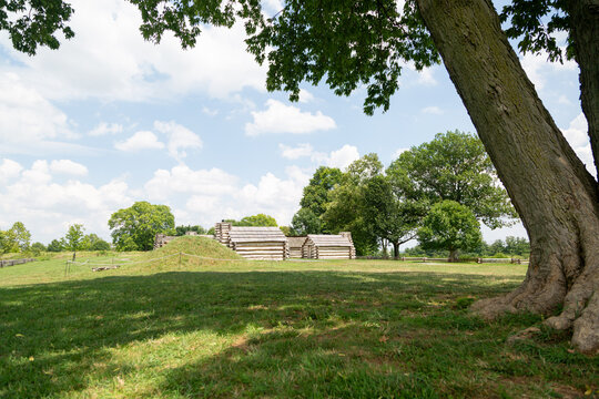 Tree and cabins at park