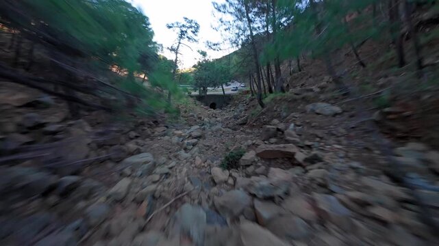 FPV Drone Flight Through Mountain Forest in Andalusia, Spain