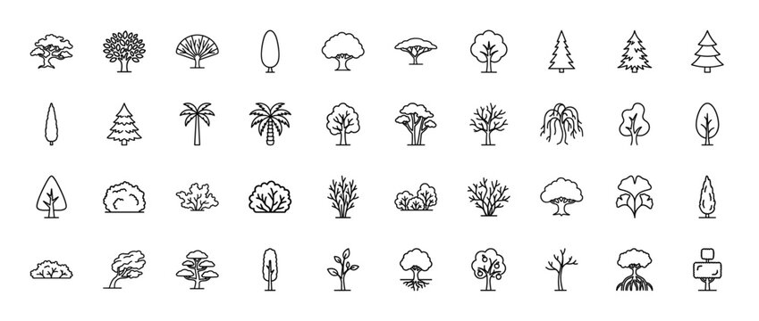 Tree and plant line icon set. Vector pictograms of oak, pine, palm, cypress, willow, baobab, shrub, mangrove and spruce, thin outline illustration.