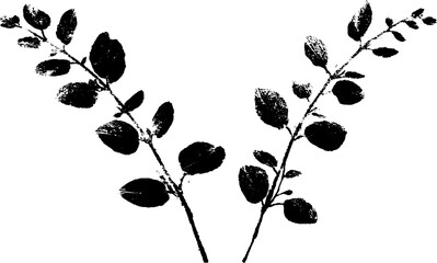 Fototapeta premium Black and white stencil illustration of interwoven branches with leaves for artistic design