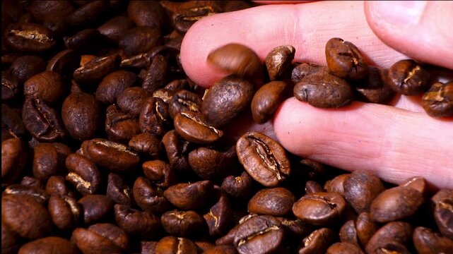 Hands releasing roasted coffee beans played in reverse. Magic effect of beans flying up into woman palms against gravity. Conceptual video about time, origin and magical preparation.