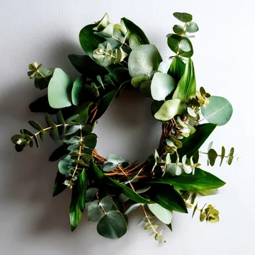 Scandinavian wreath made of fresh eucalyptus