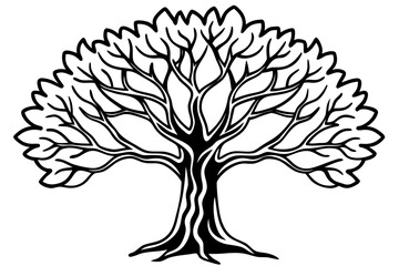 Obraz premium Banyan tree line art white background 