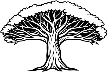 Banyan tree line art white background 