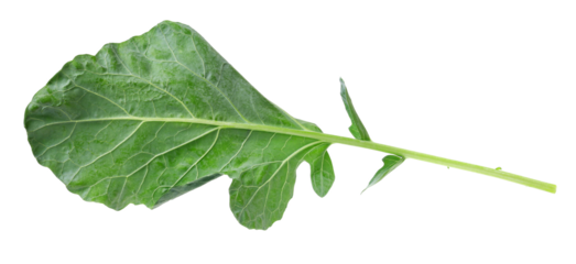 Fresh raw kohlrabi green leaf isolated on white background, clipping path
