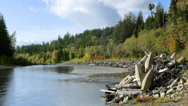 Environmental protection: River erosion prevention using concrete dolosse and logjams.