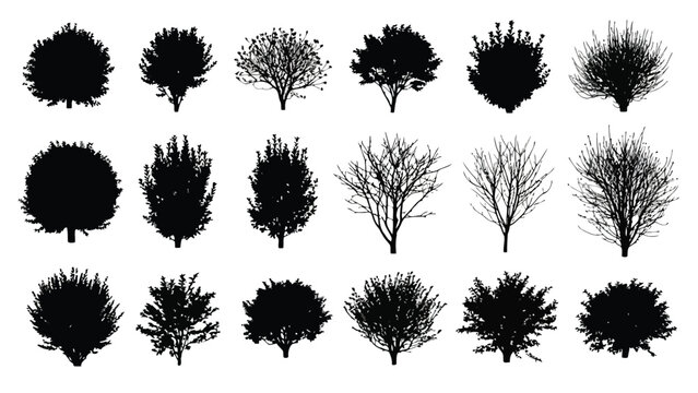An array of black tree and bush silhouettes representing different species and forms