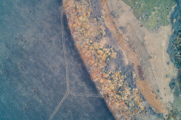 Aerial top down view of scorched earth field border with autumn tree line. War zone fire damage and high contrast vehicle tracks texture background.
