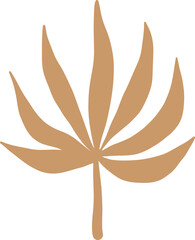 Hand Drawn Leaning Agave Plant