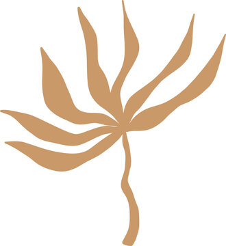 Hand Drawn Leaning Agave Plant