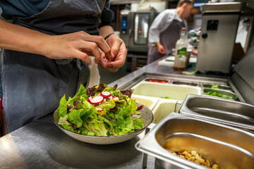 The Kitchen prepare a vegetarian salad 