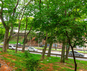 avenida em S&atilde;o Paulo
