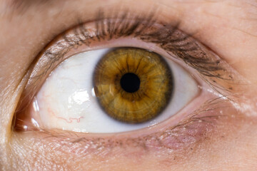 Close view of a brown eye with details of the iris and pupil taken in natural light during the daytime