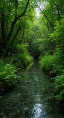 Obraz premium Clear pristine natural spring water flowing through a lush vibrant deep green temperate forest landscape environment ,vibrant ,woodland ,remote
