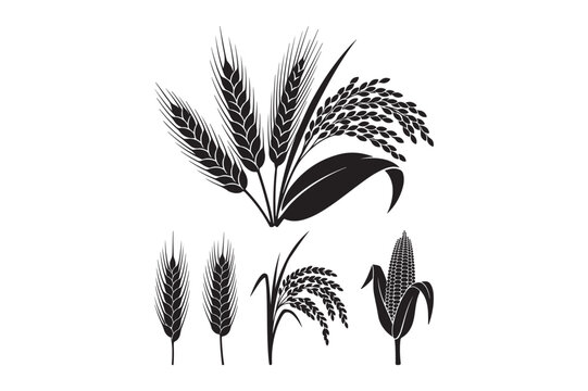 A collection of black vector silhouettes illustrating essential grains like wheat, rice, and corn