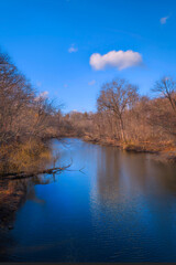 Obraz premium A serene winter landscape unfolds along the Mill River in East Rock Park, New Haven, Connecticut, United States