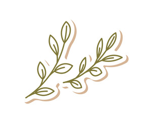 Green branch sticker in flat craft label style. Outline branch decor with green holiday doodle for kraft box and gift, perfect for modern graphic nature inspired decor concepts.