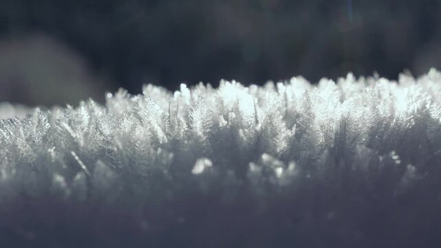 Cristaux de neige froide