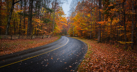 Obraz premium Winding road through colorful autumn forest