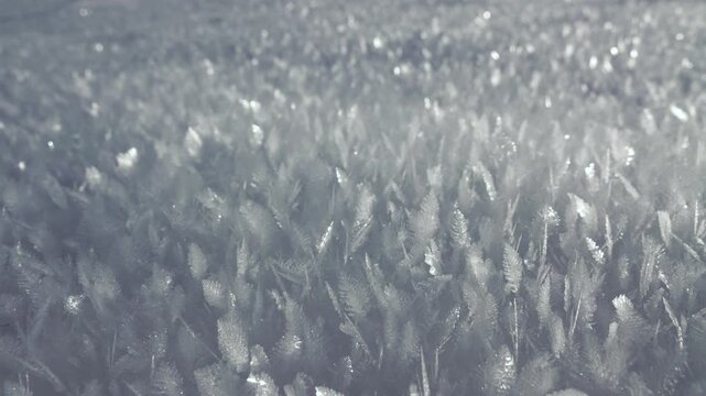 Cristaux de neige froide