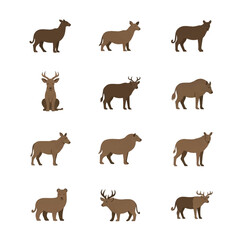 Collection of various wild animals in different poses.