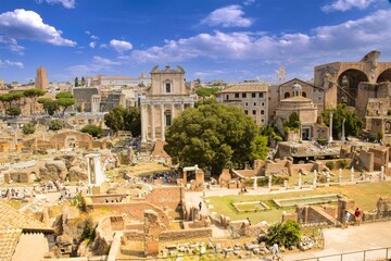 Naklejka premium Forum Roots: Ancient Rome’s Civic Heart