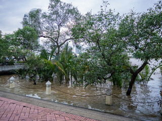 タイ　バンコク　街並み　スナップショット