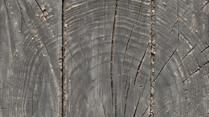 Fototapeta premium Gray weathered wood plank texture background