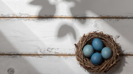 Blue Bird Eggs in Nest with Shadow of Bird on White Wood Background, Springtime Concept