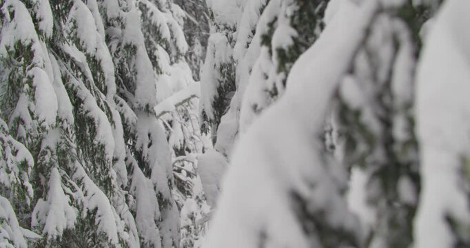 Ruisseau glac&eacute; en hiver dans la neige