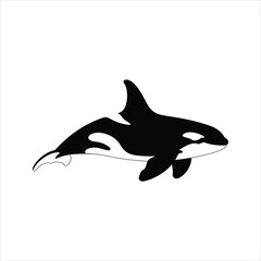 Orca Whale Icon – Killer Whale Silhouette Vector Illustration