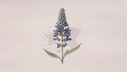 Artistic watercolor drawing of a blooming blue wildflower with grunge splashes.