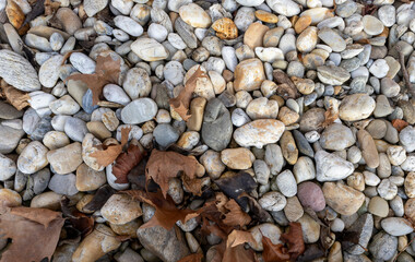Natural background of smooth river pebbles mixed with dry autumn leaves. Textured surface with multicolored stones, organic debris, and earthy tones. Ideal for nature, environment, geology, fall seaso