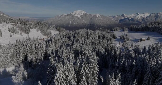 Drone foret enneig&eacute; vue sur le pic du m&ocirc;le