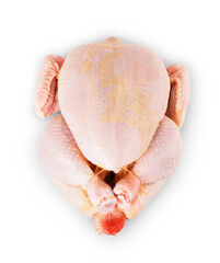 Whole fresh raw chicken isolated on white background. Top view of uncooked poultry ready for roasting
