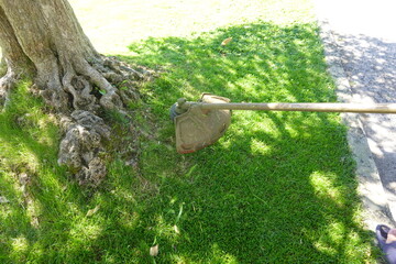 Gardener cutting grass around tree with string trimmer on sunny day