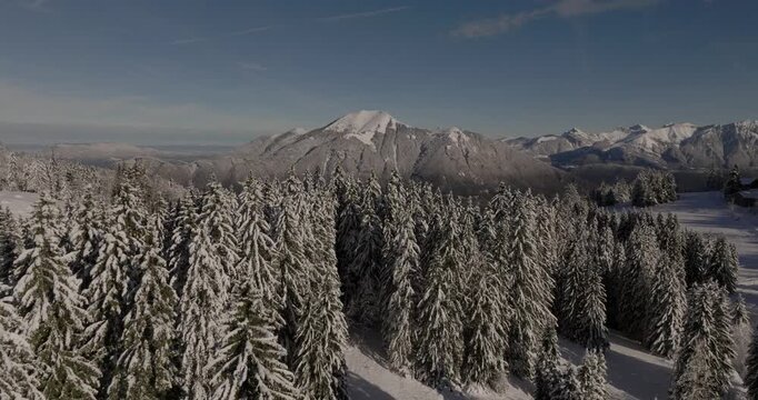 Drone foret enneig&eacute; vue sur le pic du m&ocirc;le